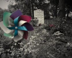 Stasi perpetua Inquietudine fotografica-Stasi perpetua